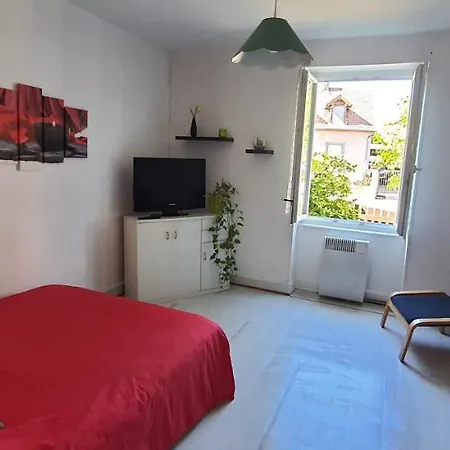 Apartment Avec Jardin A Colmar
