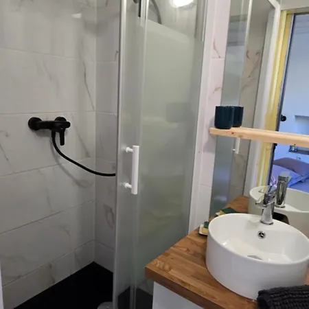 Appartement Climatise Avec Jardin アパート コルマール
