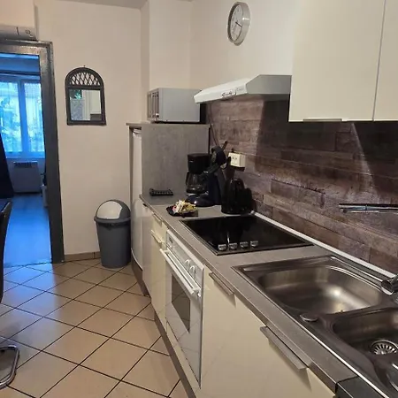 Apartment Avec Jardin A Colmar