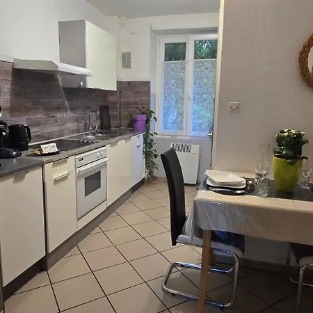 Appartement Climatise Avec Jardin アパート コルマール