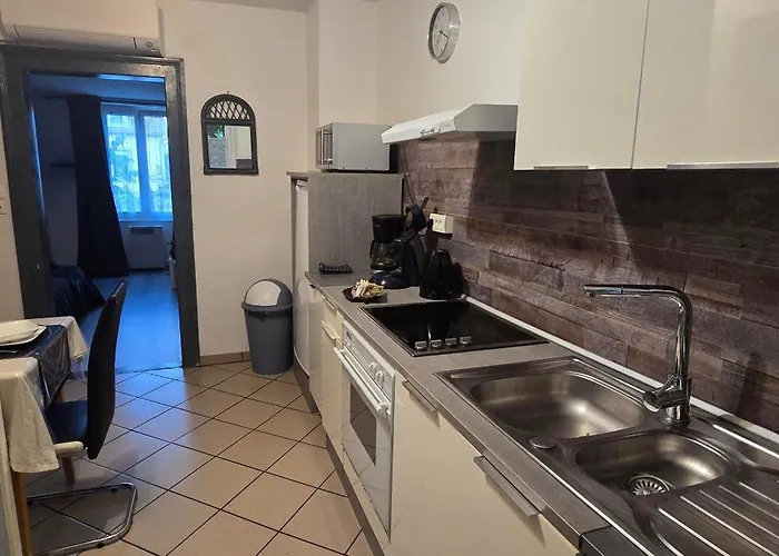 Apartment Avec Jardin A Colmar