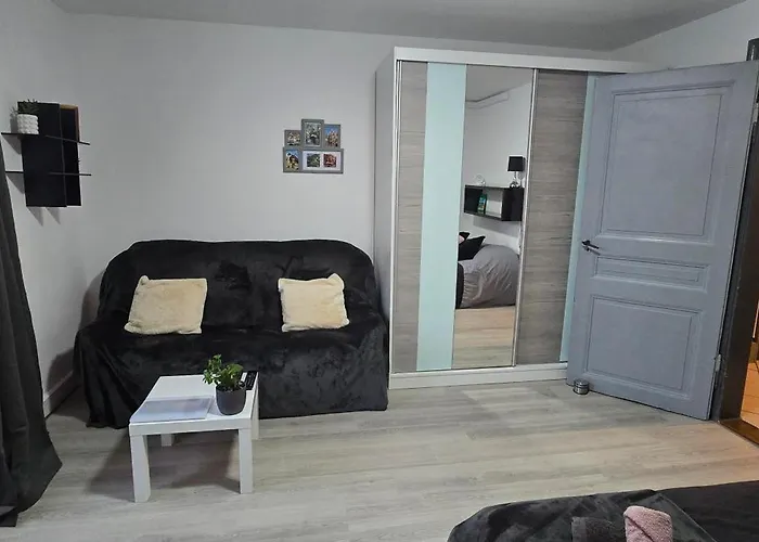 Avec Jardin A Κολμάρ